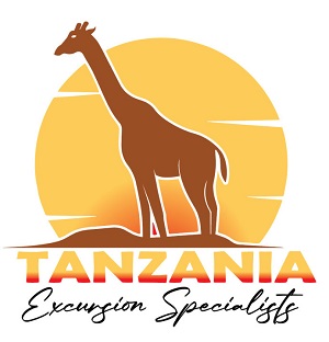Tanzania Excursions